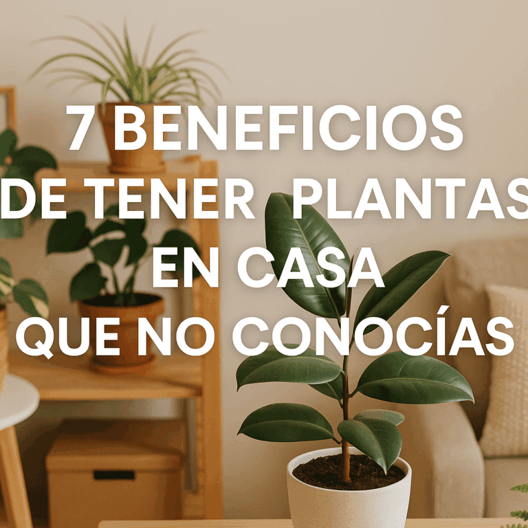 7 Beneficios de Tener Plantas en Casa que No Conocías