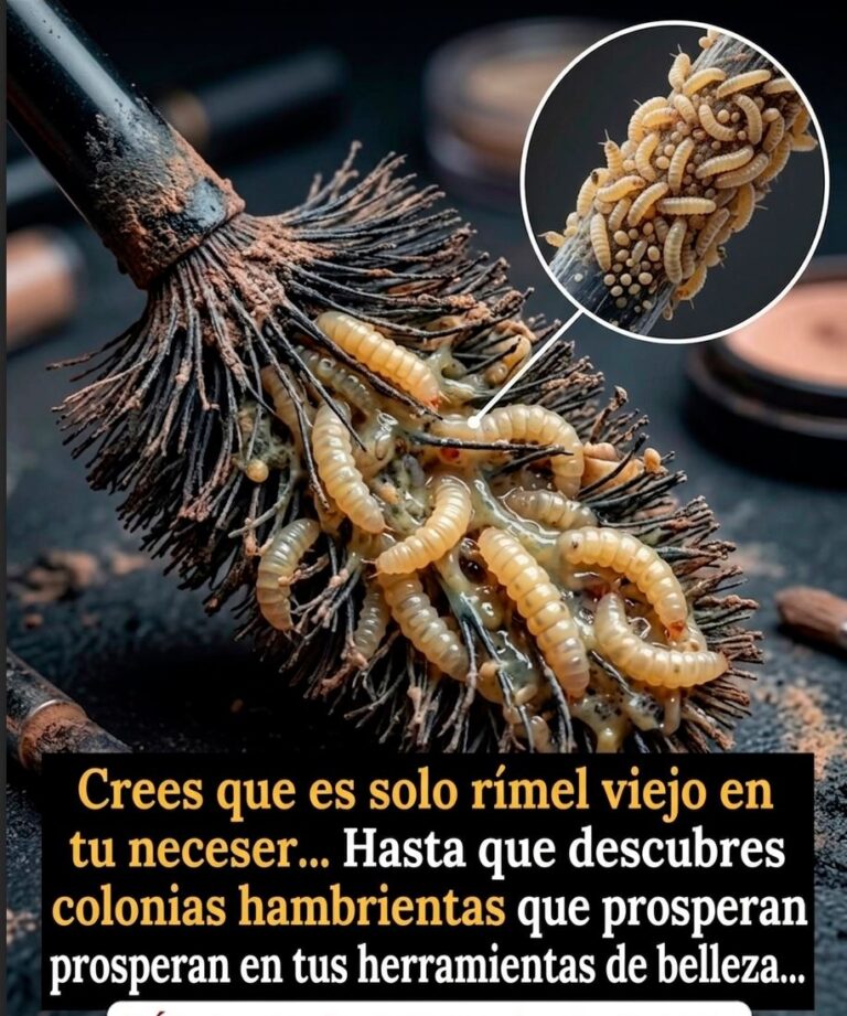 El Ritual de Purificación: Desterrando a los Invasores de tu Rostro
