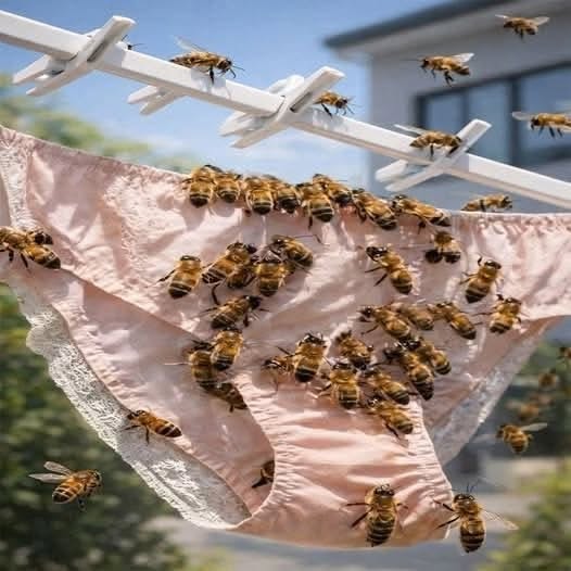 ¡Cuidado! ¿Por qué las Abejas se Posan en tu Ropa Interior? El Secreto que el 98% Ignora